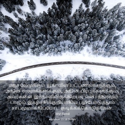 Picture 03 - எரேமியா 25:18 TAMIRV - எருசலேமுக்கும் - Bible Verse Picture