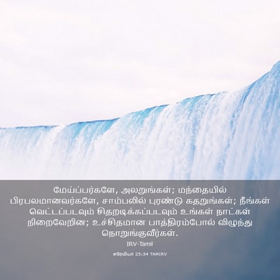 Picture 03 - எரேமியா 25:34 TAMIRV - மேய்ப்பர்களே, - Bible Verse Picture