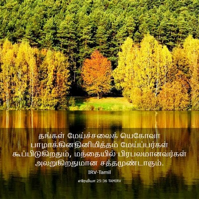 Picture 03 - எரேமியா 25:36 TAMIRV - தங்கள் - Bible Verse Picture
