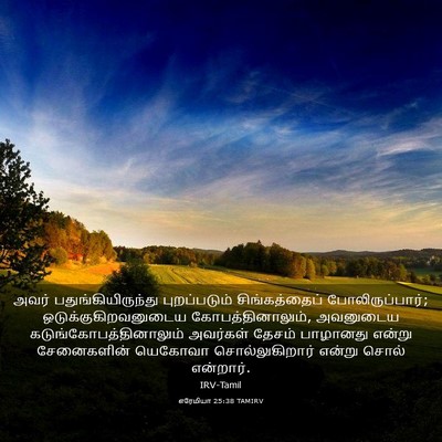 Picture 03 - எரேமியா 25:38 TAMIRV - அவர் - Bible Verse Picture