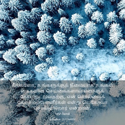 Picture 03 - எரேமியா 25:7 TAMIRV - நீங்களோ, - Bible Verse Picture