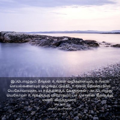Picture 03 - எரேமியா 26:13 TAMIRV - இப்பொழுதும் - Bible Verse Picture