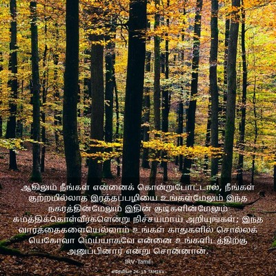 Picture 03 - எரேமியா 26:15 TAMIRV - ஆகிலும் நீங்கள் - Bible Verse Picture