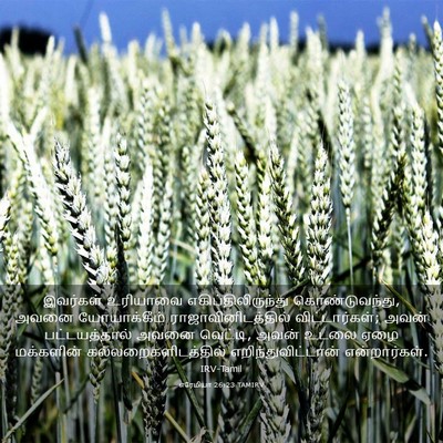 Picture 03 - எரேமியா 26:23 TAMIRV - இவர்கள் உரியாவை - Bible Verse Picture