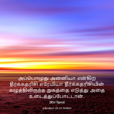 Picture 03 - எரேமியா 28:10 TAMIRV - அப்பொழுது அனனியா - Bible Verse Picture