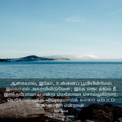 Picture 03 - எரேமியா 28:16 TAMIRV - ஆகையால், இதோ, - Bible Verse Picture