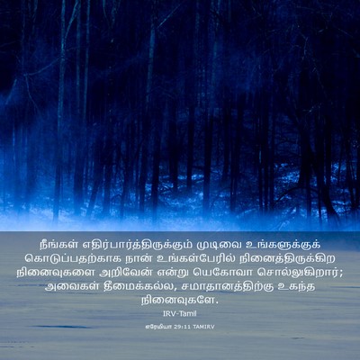 Picture 03 - எரேமியா 29:11 TAMIRV - நீங்கள் - Bible Verse Picture