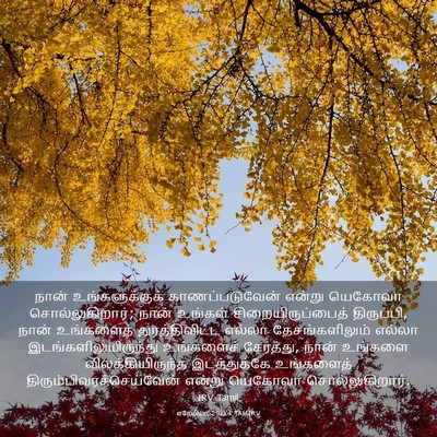 Picture 03 - எரேமியா 29:14 TAMIRV - நான் உங்களுக்குக் - Bible Verse Picture