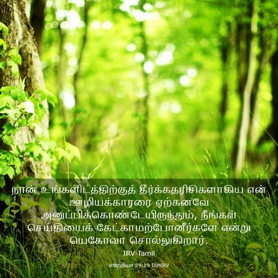 Picture 03 - எரேமியா 29:19 TAMIRV - நான் - Bible Verse Picture