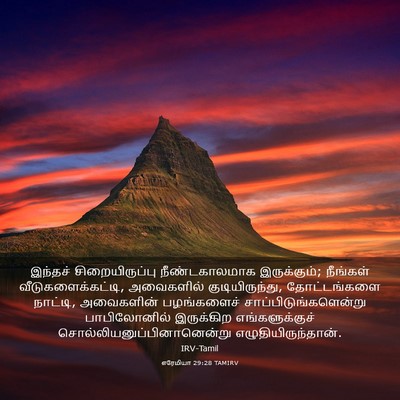 Picture 03 - எரேமியா 29:28 TAMIRV - இந்தச் - Bible Verse Picture
