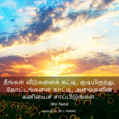 Picture 03 - எரேமியா 29:5 TAMIRV - நீங்கள் வீடுகளைக் - Bible Verse Picture