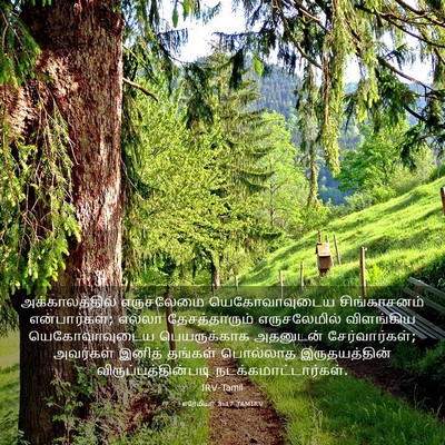Picture 03 - எரேமியா 3:17 TAMIRV - அக்காலத்தில் - Bible Verse Picture