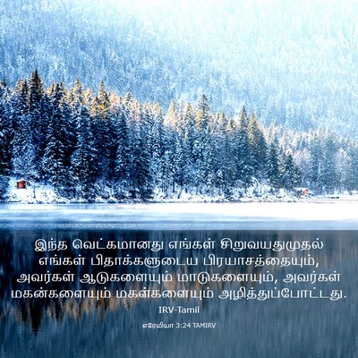 Picture 03 - எரேமியா 3:24 TAMIRV - இந்த வெட்கமானது - Bible Verse Picture