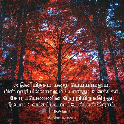 Picture 03 - எரேமியா 3:3 TAMIRV - அதினிமித்தம் மழை - Bible Verse Picture