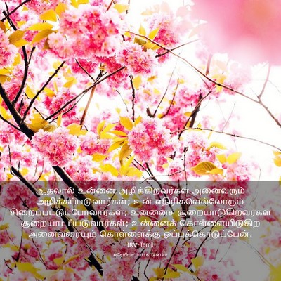 Picture 03 - எரேமியா 30:16 TAMIRV - ஆதலால் உன்னை - Bible Verse Picture