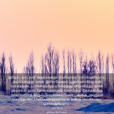 Picture 03 - எரேமியா 30:3 TAMIRV - இதோ, நாட்கள் - Bible Verse Picture
