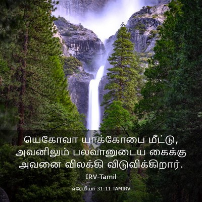 Picture 03 - எரேமியா 31:11 TAMIRV - யெகோவா யாக்கோபை - Bible Verse Picture