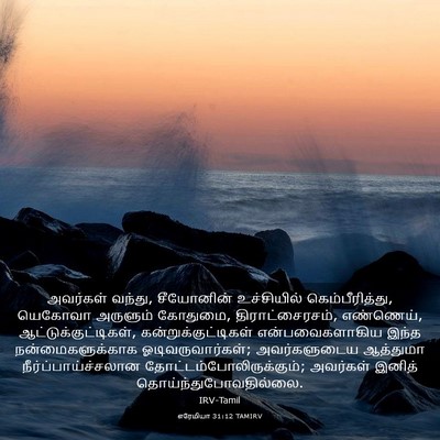 Picture 03 - எரேமியா 31:12 TAMIRV - அவர்கள் வந்து, - Bible Verse Picture