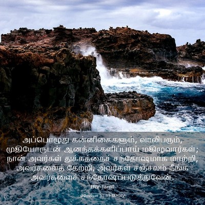 Picture 03 - எரேமியா 31:13 TAMIRV - அப்பொழுது - Bible Verse Picture