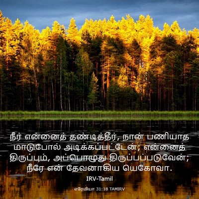 Picture 03 - எரேமியா 31:18 TAMIRV - நீர் என்னைத் - Bible Verse Picture