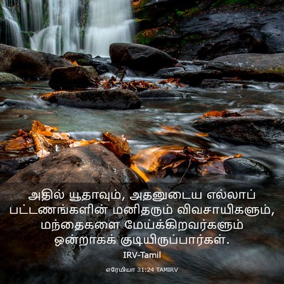 Picture 03 - எரேமியா 31:24 TAMIRV - அதில் யூதாவும், - Bible Verse Picture