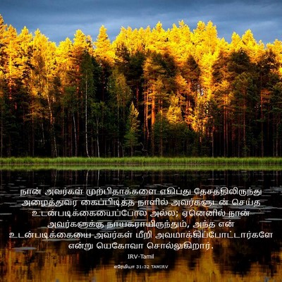 Picture 03 - எரேமியா 31:32 TAMIRV - நான் அவர்கள் - Bible Verse Picture