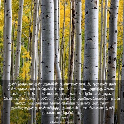 Picture 03 - எரேமியா 31:34 TAMIRV - இனி ஒருவன் தன் - Bible Verse Picture
