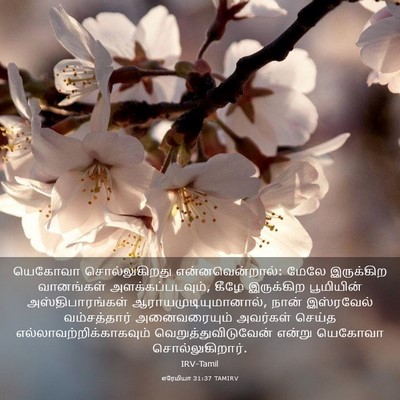 Picture 03 - எரேமியா 31:37 TAMIRV - யெகோவா - Bible Verse Picture