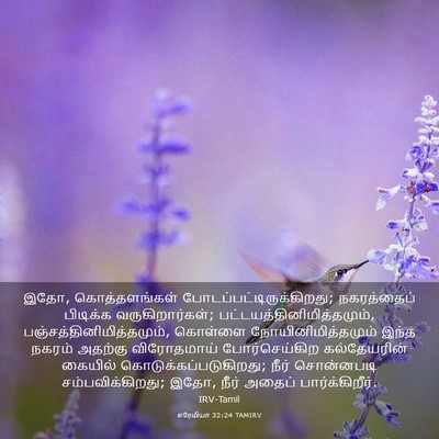 Picture 03 - எரேமியா 32:24 TAMIRV - இதோ, கொத்தளங்கள் - Bible Verse Picture