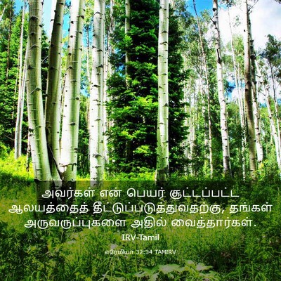 Picture 03 - எரேமியா 32:34 TAMIRV - அவர்கள் என் பெயர் - Bible Verse Picture