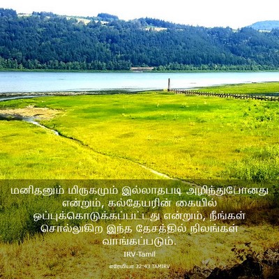 Picture 03 - எரேமியா 32:43 TAMIRV - மனிதனும் - Bible Verse Picture