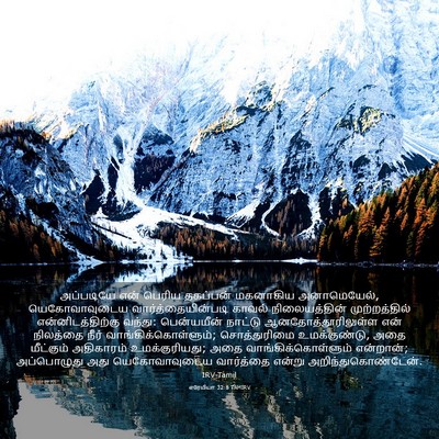 Picture 03 - எரேமியா 32:8 TAMIRV - அப்படியே என் - Bible Verse Picture
