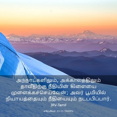 Picture 03 - எரேமியா 33:15 TAMIRV - அந்நாட்களிலும், - Bible Verse Picture