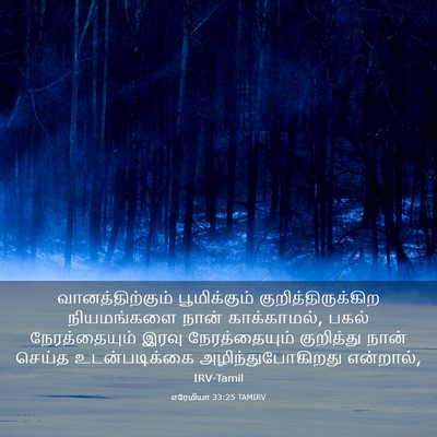 Picture 03 - எரேமியா 33:25 TAMIRV - வானத்திற்கும் - Bible Verse Picture