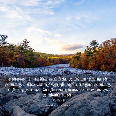 Picture 03 - எரேமியா 33:3 TAMIRV - என்னை நோக்கிக் - Bible Verse Picture