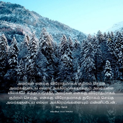 Picture 03 - எரேமியா 33:8 TAMIRV - அவர்கள் எனக்கு - Bible Verse Picture