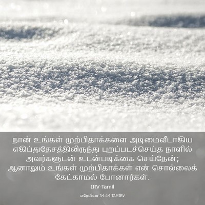 Picture 03 - எரேமியா 34:14 TAMIRV - நான் உங்கள் - Bible Verse Picture