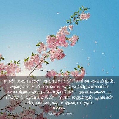 Picture 03 - எரேமியா 34:20 TAMIRV - நான் அவர்களை - Bible Verse Picture