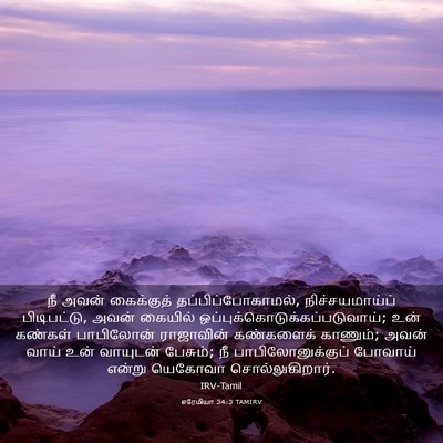 Picture 03 - எரேமியா 34:3 TAMIRV - நீ அவன் கைக்குத் - Bible Verse Picture