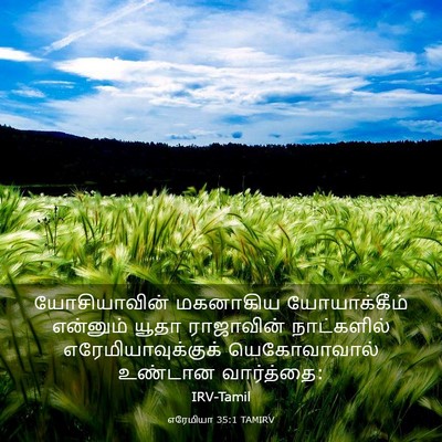 Picture 03 - எரேமியா 35:1 TAMIRV - யோசியாவின் - Bible Verse Picture