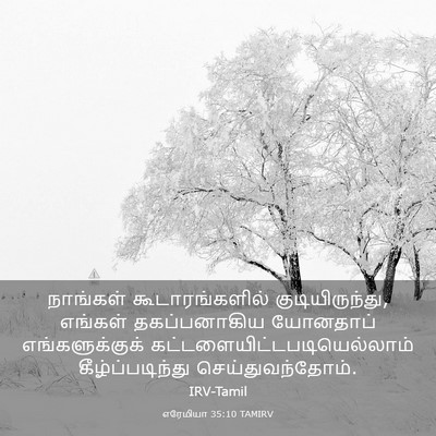Picture 03 - எரேமியா 35:10 TAMIRV - நாங்கள் - Bible Verse Picture