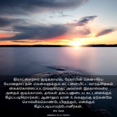 Picture 03 - எரேமியா 35:14 TAMIRV - திராட்சைரசம் - Bible Verse Picture