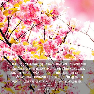 Picture 03 - எரேமியா 35:3 TAMIRV - அப்பொழுது நான் - Bible Verse Picture