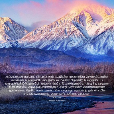 Picture 03 - எரேமியா 36:14 TAMIRV - அப்பொழுது எல்லாப் - Bible Verse Picture