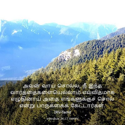Picture 03 - எரேமியா 36:17 TAMIRV - அவன் வாய் சொல்ல, நீ - Bible Verse Picture