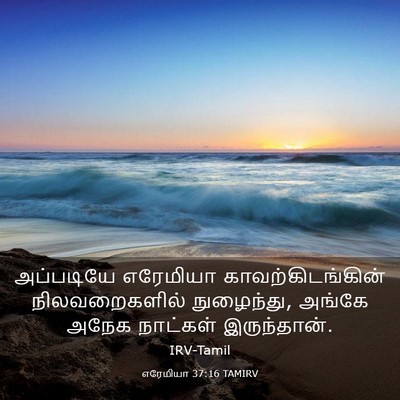 Picture 03 - எரேமியா 37:16 TAMIRV - அப்படியே எரேமியா - Bible Verse Picture