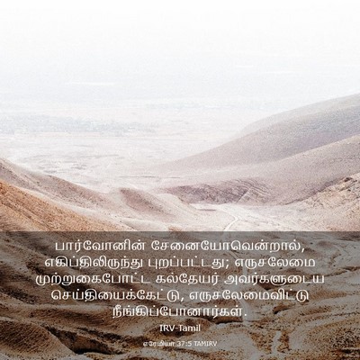 Picture 03 - எரேமியா 37:5 TAMIRV - பார்வோனின் - Bible Verse Picture