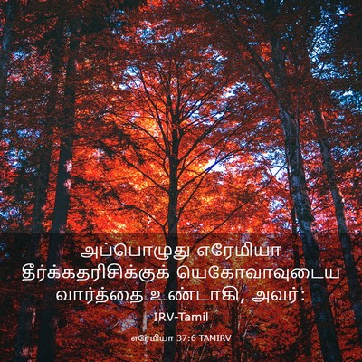 Picture 03 - எரேமியா 37:6 TAMIRV - அப்பொழுது எரேமியா - Bible Verse Picture