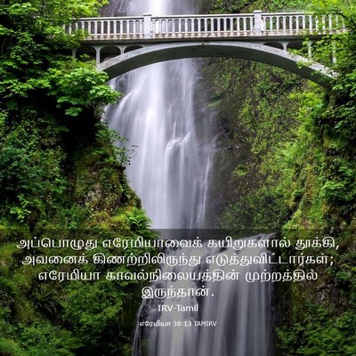 Picture 03 - எரேமியா 38:13 TAMIRV - அப்பொழுது - Bible Verse Picture