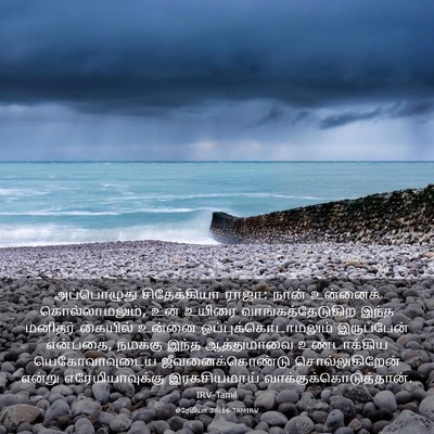 Picture 03 - எரேமியா 38:16 TAMIRV - அப்பொழுது - Bible Verse Picture